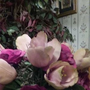 Meet your Posher, Willie